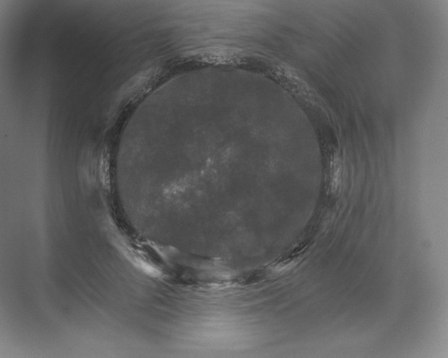 X0000074000696200609061024