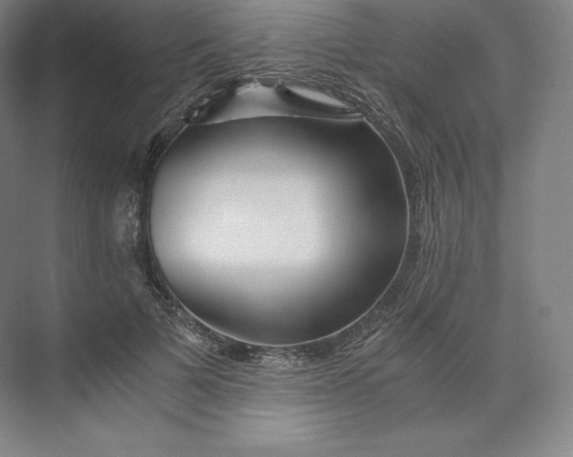 X0000074000697200609061024