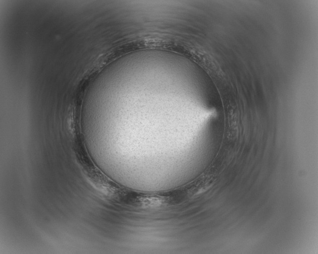 X0000074000698200609061024