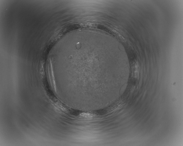 X0000074000699200609061024