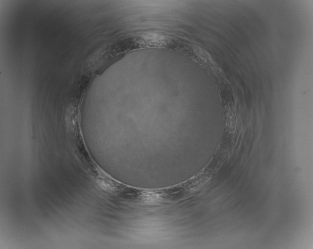 X0000074000701200609061024