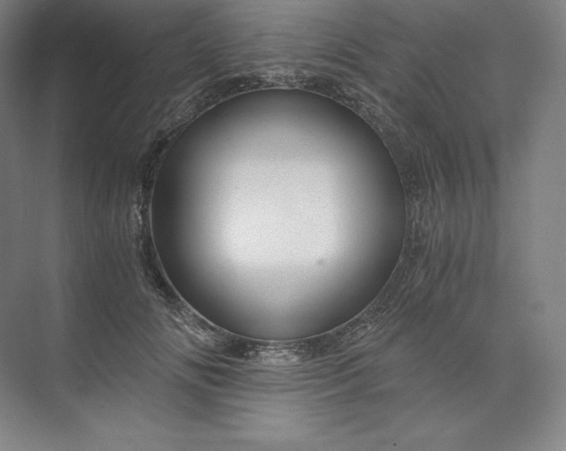 X0000074000702200609061024