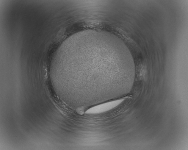 X0000074000703200609061024