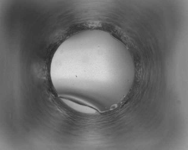 X0000074000704200609061024