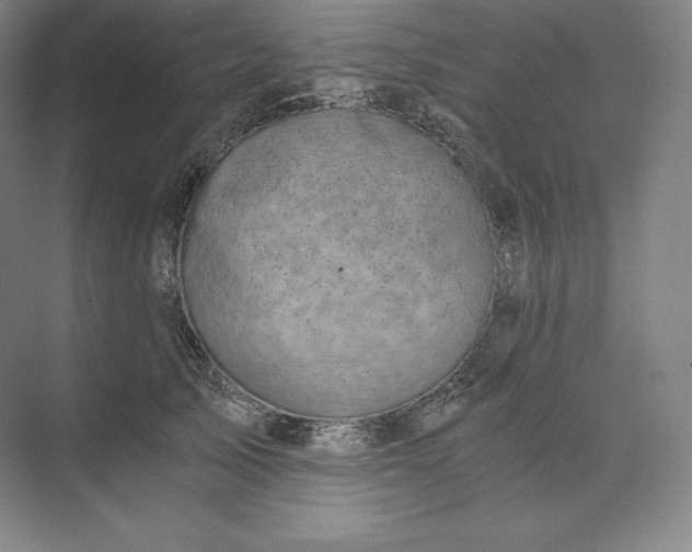 X0000074000705200609061024