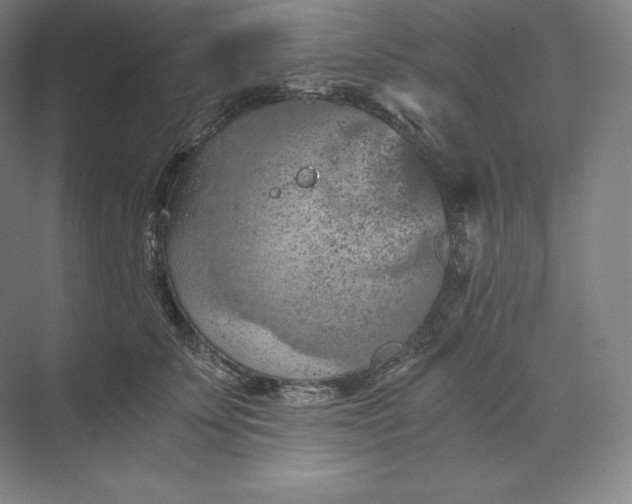 X0000074000707200609061024