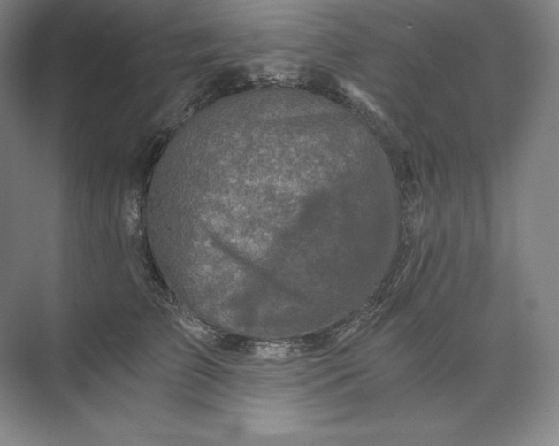 X0000074000709200609061024