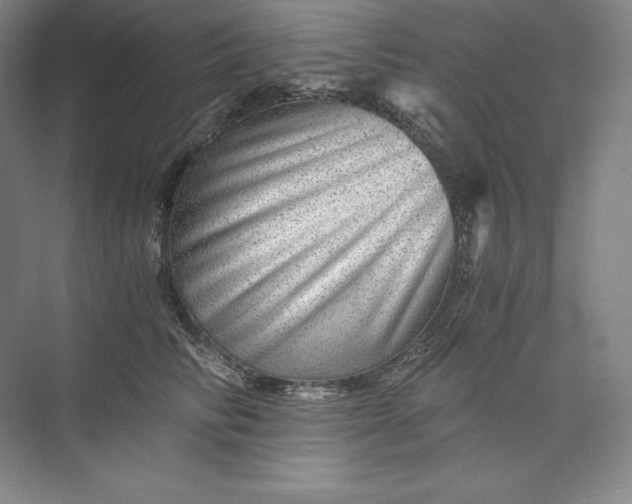 X0000074000710200609061024