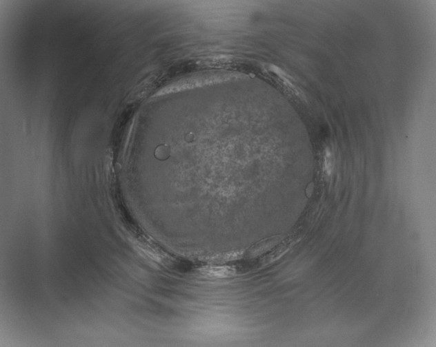 X0000074000711200609061024