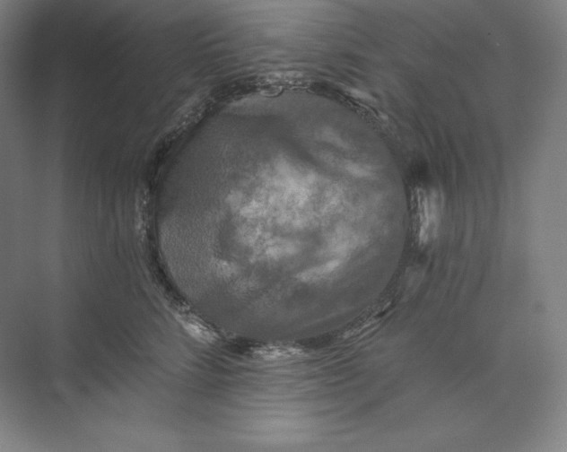 X0000074000712200609061024