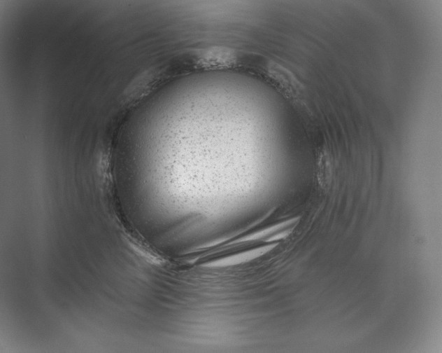 X0000074000714200609061024