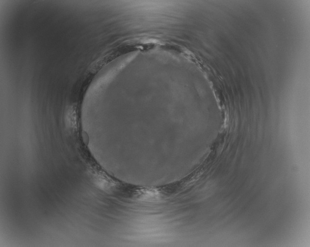 X0000074000715200609061024