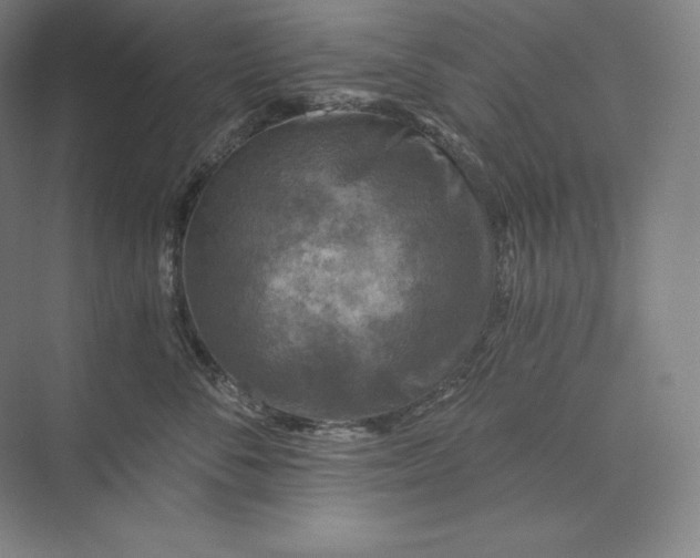 X0000074000716200609061023