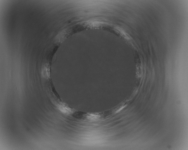 X0000074000718200609061023