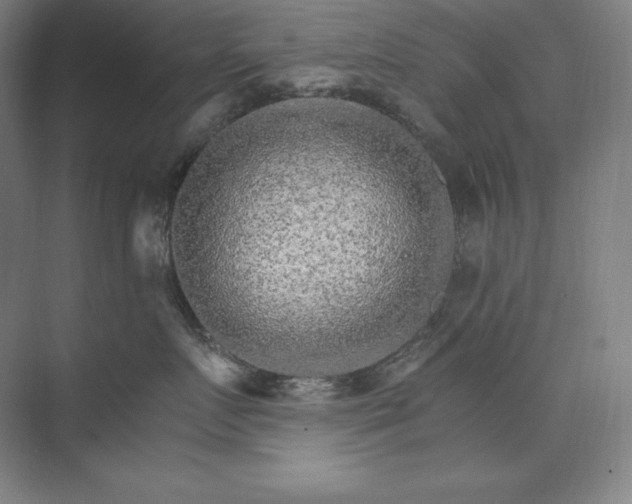 X0000074000719200609061023