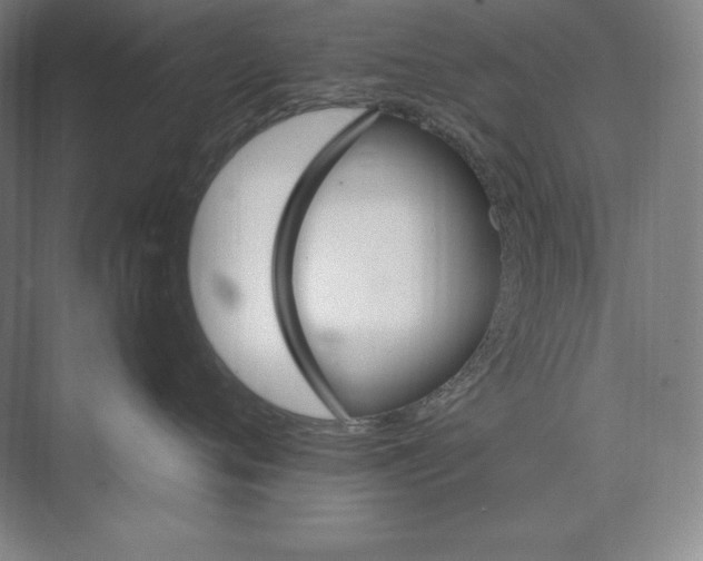 X0000074000720200609061023