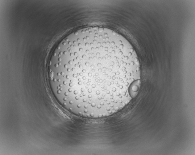 X0000074000721200609061023