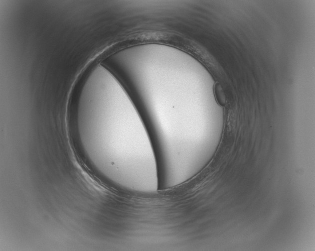 X0000074000722200609061023