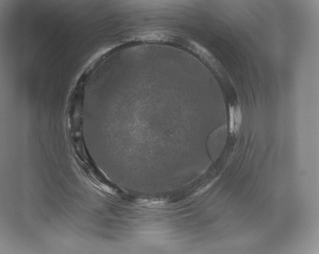 X0000074000723200609061023