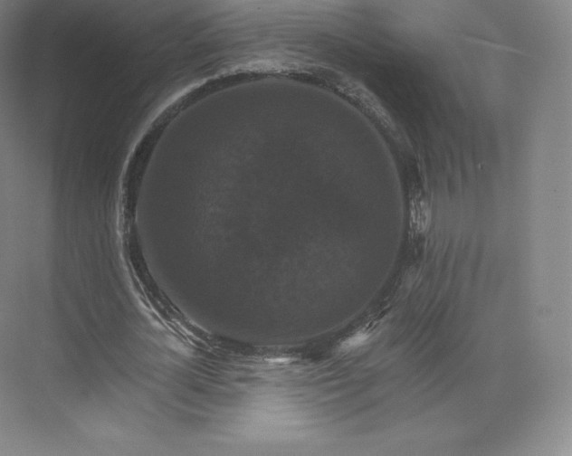 X0000074000724200609061023