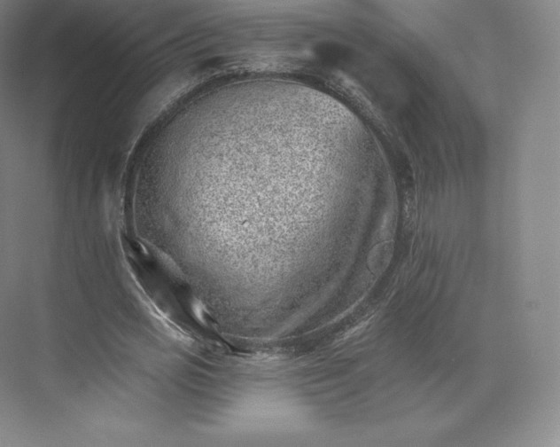 X0000074000725200609061023