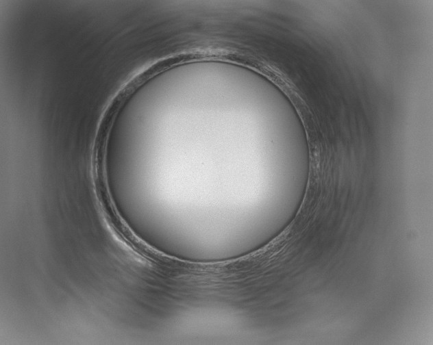 X0000074000726200609061023