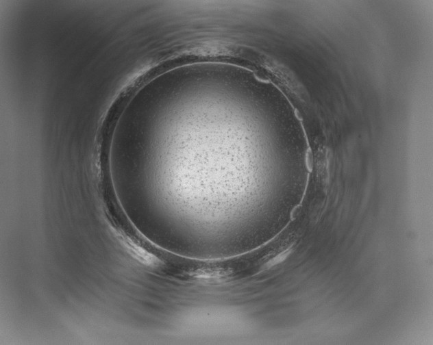 X0000074000727200609061023