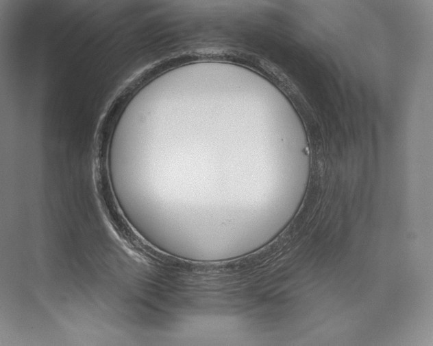 X0000074000728200609061023