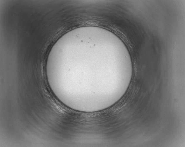 X0000074000729200609061023