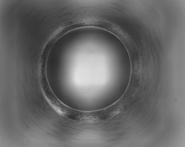 X0000074000730200609061023