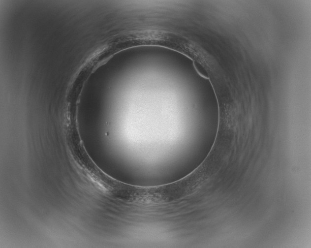 X0000074000731200609061023