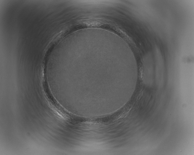 X0000074000733200609061023