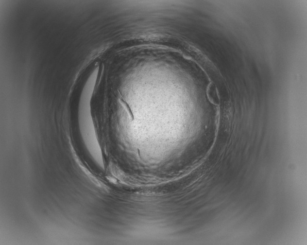 X0000074000734200609061023