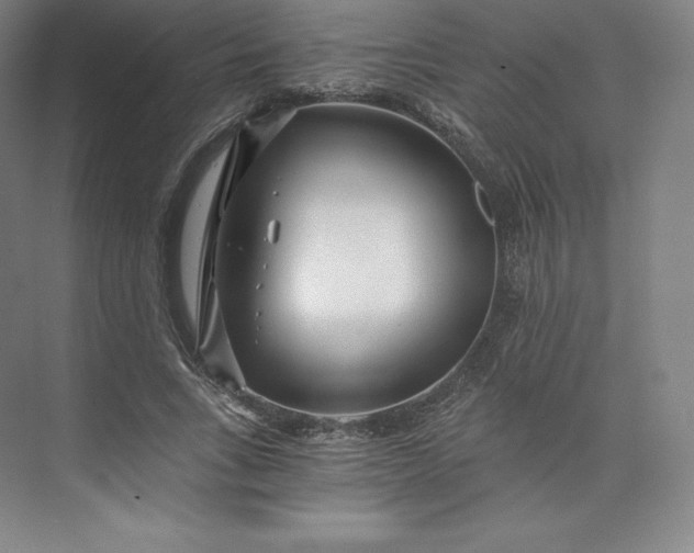 X0000074000735200609061023