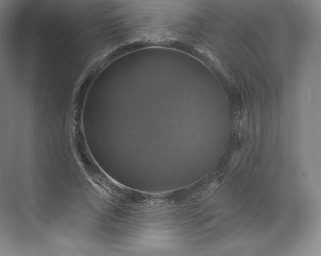 X0000074000736200609061023