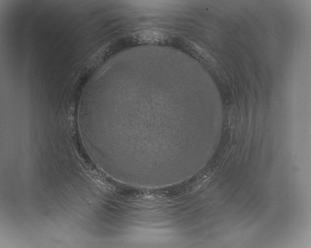 X0000074000737200609061023