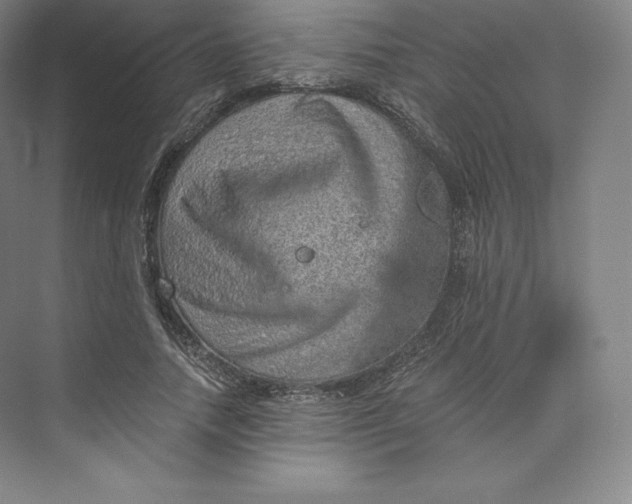 X0000074000738200609061023