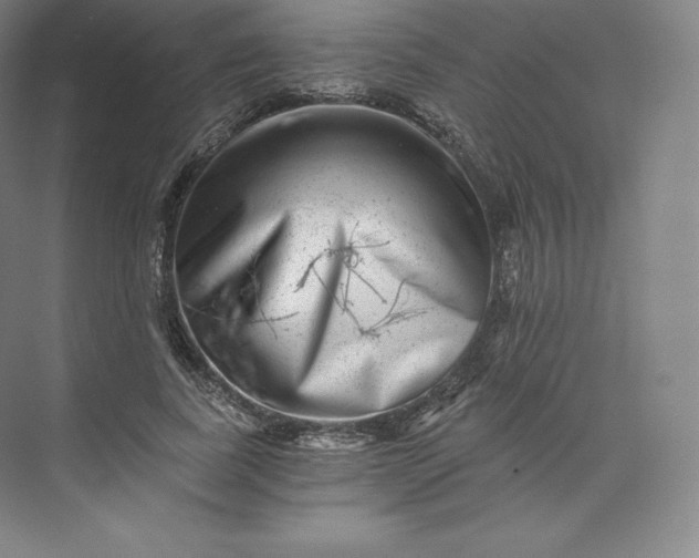 X0000074000739200609061023