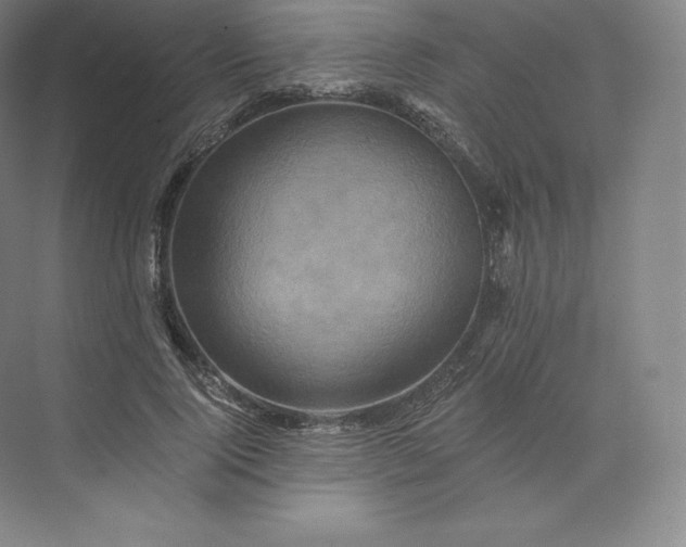 X0000074000740200609061023