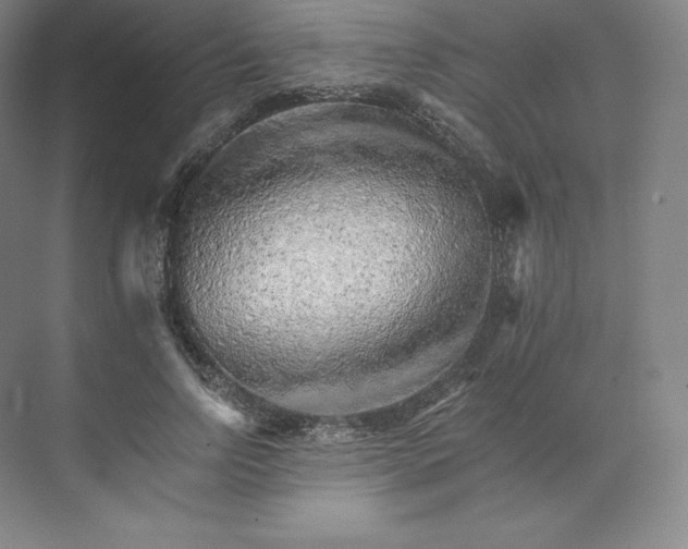 X0000074000742200609061023