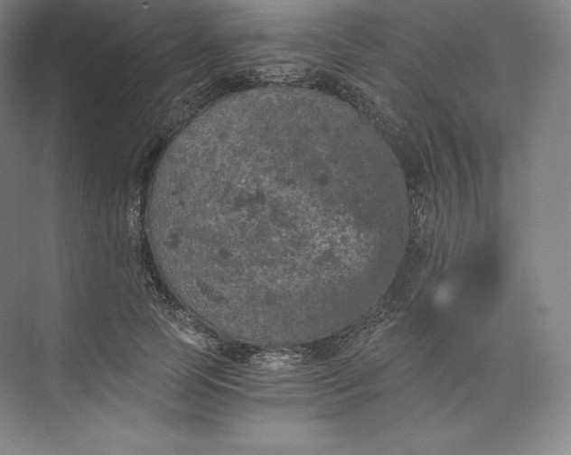 X0000074000745200609061023