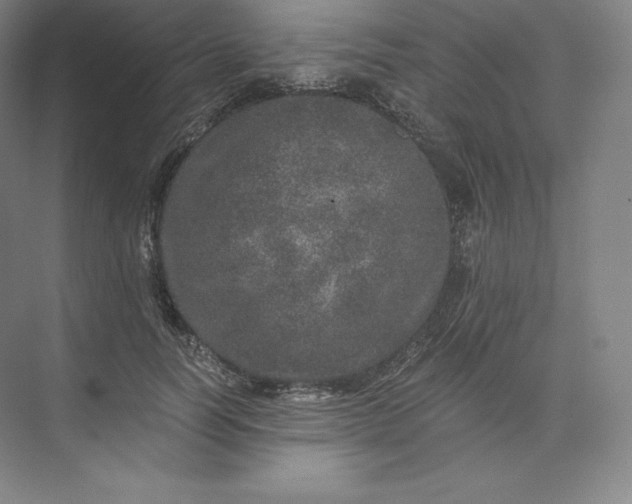 X0000074000746200609061023