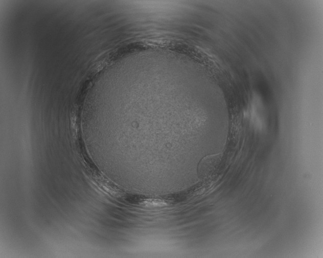 X0000074000749200609061023