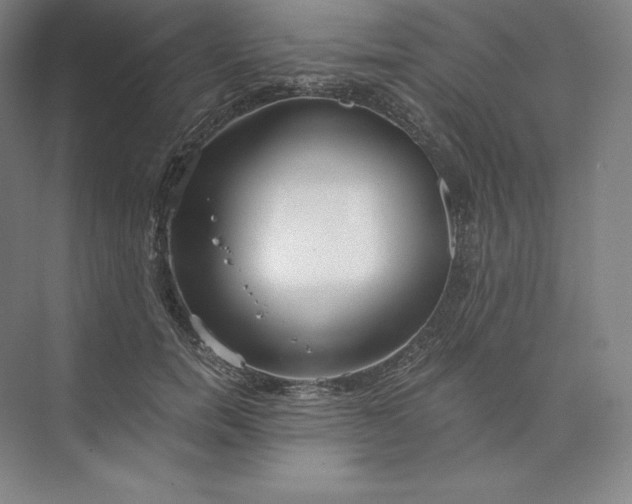 X0000074000750200609061023