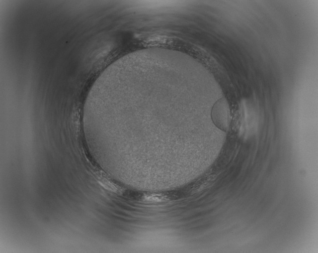 X0000074000753200609061023