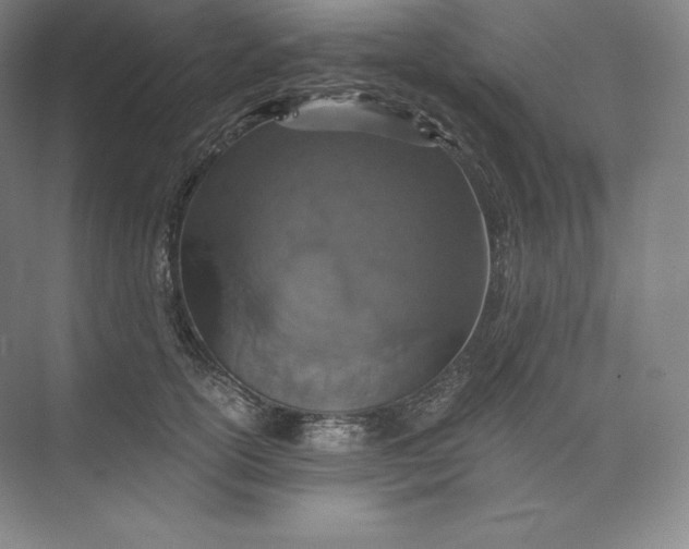 X0000074000754200609061023