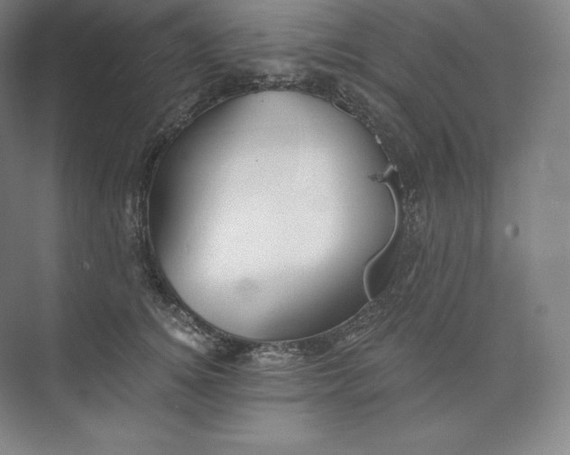 X0000074000756200609061023