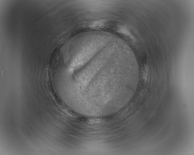 X0000074000757200609061023