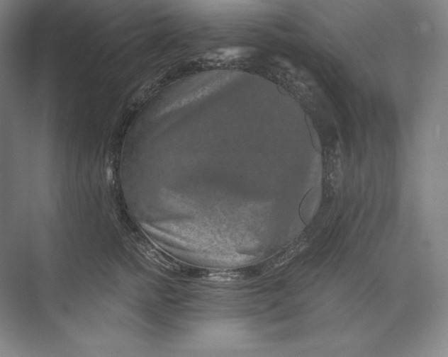 X0000074000758200609061023