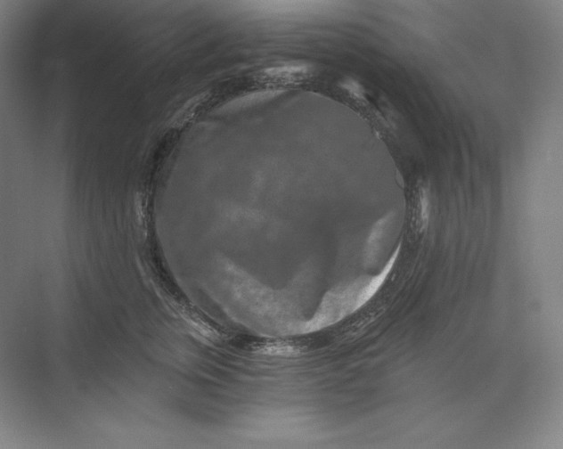 X0000074000759200609061023